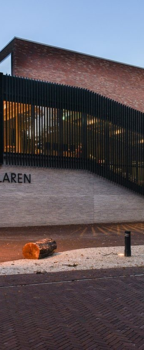 Singer_Laren