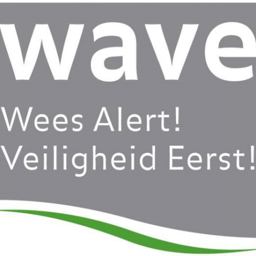 WAVE.png