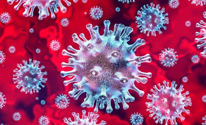 corona-virus.jpg